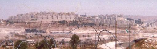Jewish Settlements